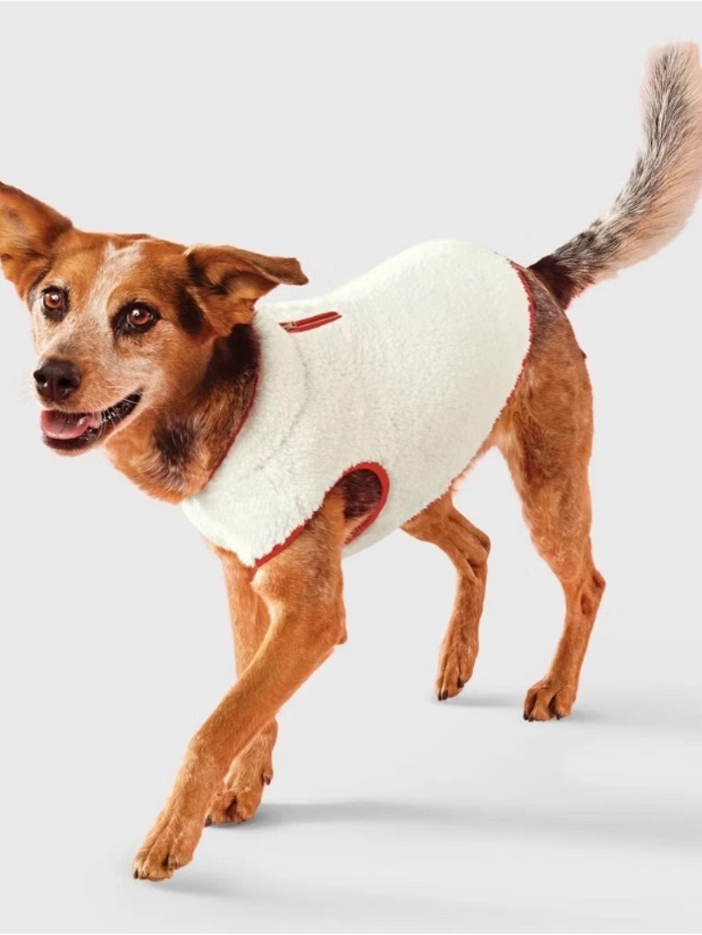 NEW-Medium Sherpa Pet Vest
Faux Shearling Zipper with Red Trim Fleece Dog Vest